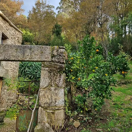 Entrerobles - Casina Cereixa * La Caniza