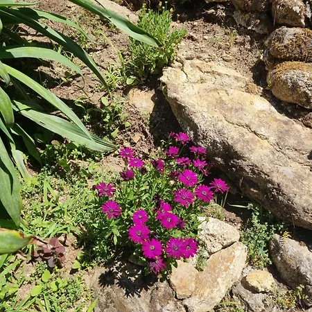 Entrerobles - Casina Cereixa Chalet